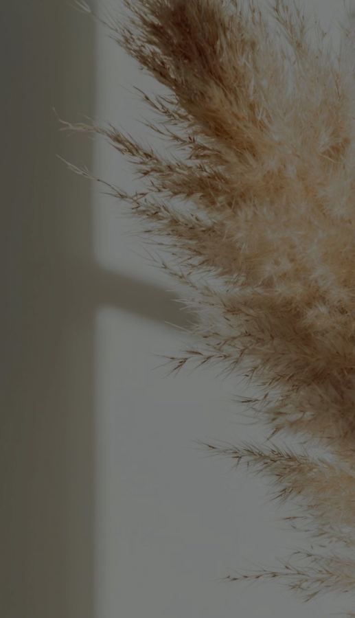 Detail: dried grasses against limewash